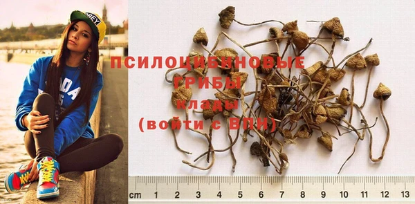 круглые Михайловск