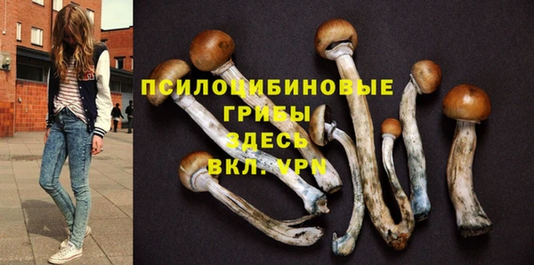 круглые Ельня