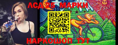 a pvp Бийск