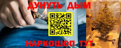 a pvp Бийск