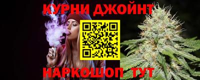 a pvp Бийск