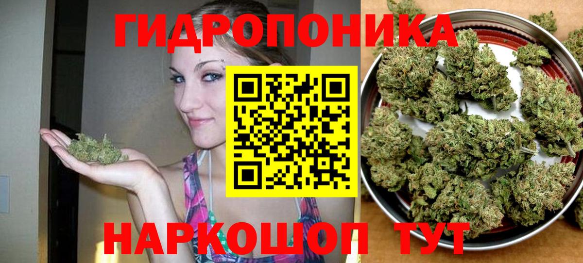 МАРИХУАНА конопля Крымск